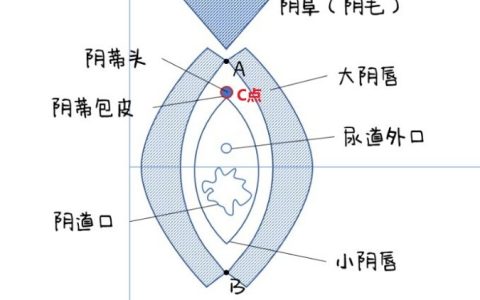 如何练就一身高超的“找豆豆”技巧