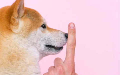 指甲上的月牙真的跟健康有关吗